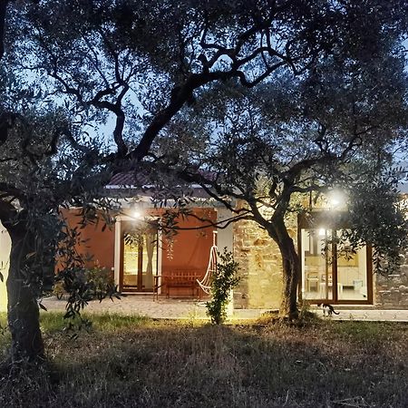 Elea Stone Houses In Organic Quiet Olive Grove, Prinos, Thassos Ngoại thất bức ảnh