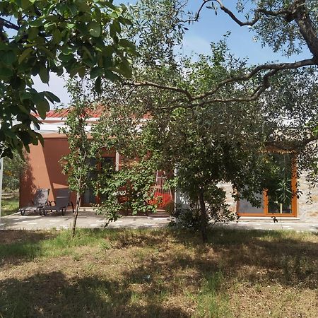 Elea Stone Houses In Organic Quiet Olive Grove, Prinos, Thassos Phòng bức ảnh