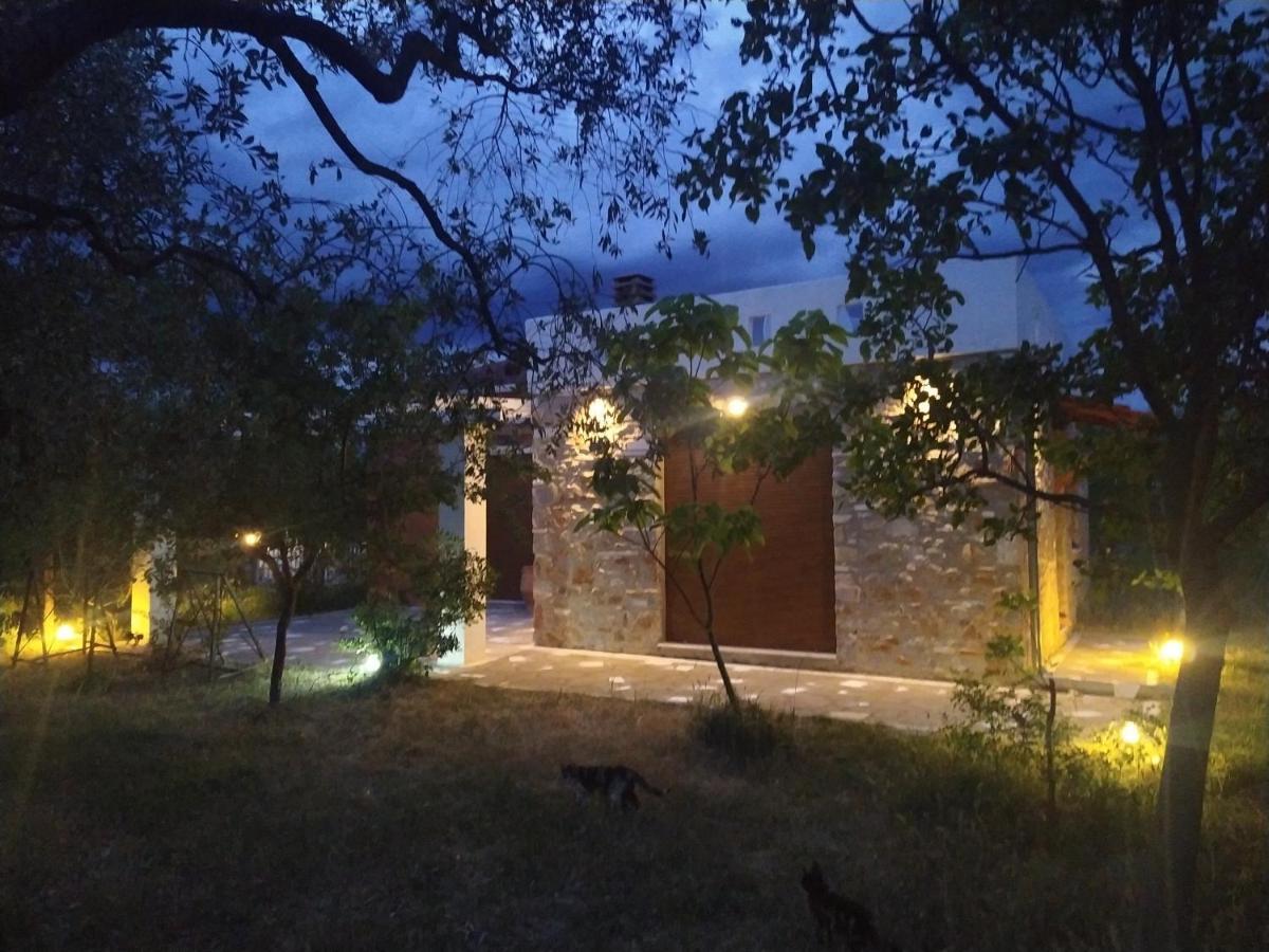 Elea Stone Houses In Organic Quiet Olive Grove, Prinos, Thassos Ngoại thất bức ảnh