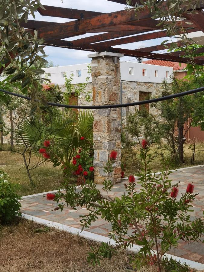 Elea Stone Houses In Organic Quiet Olive Grove, Prinos, Thassos Ngoại thất bức ảnh