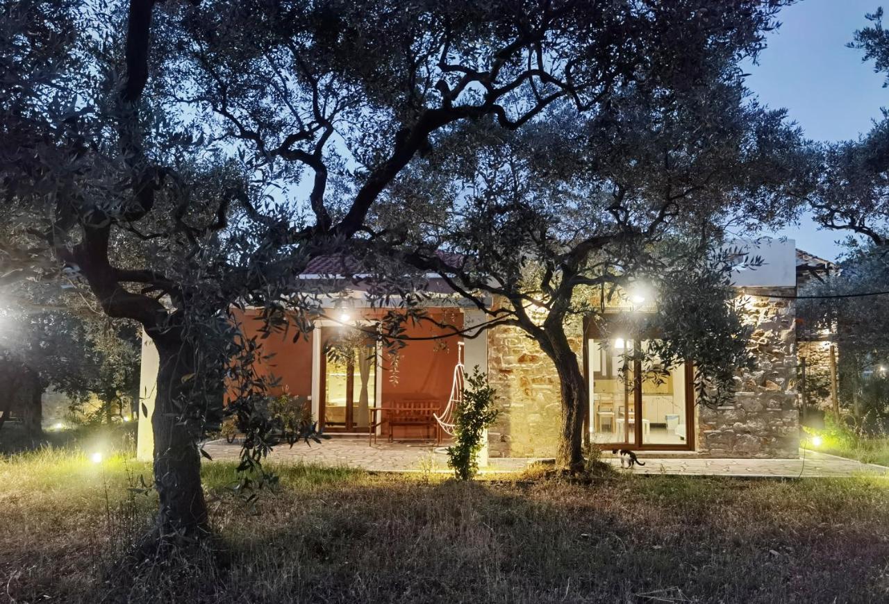 Elea Stone Houses In Organic Quiet Olive Grove, Prinos, Thassos Ngoại thất bức ảnh