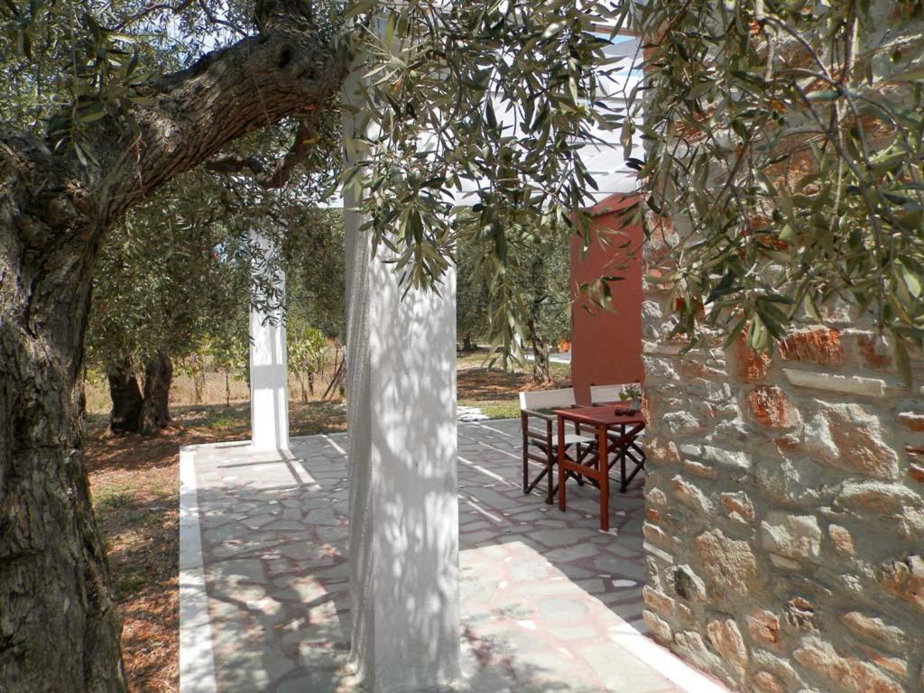 Elea Stone Houses In Organic Quiet Olive Grove, Prinos, Thassos Ngoại thất bức ảnh