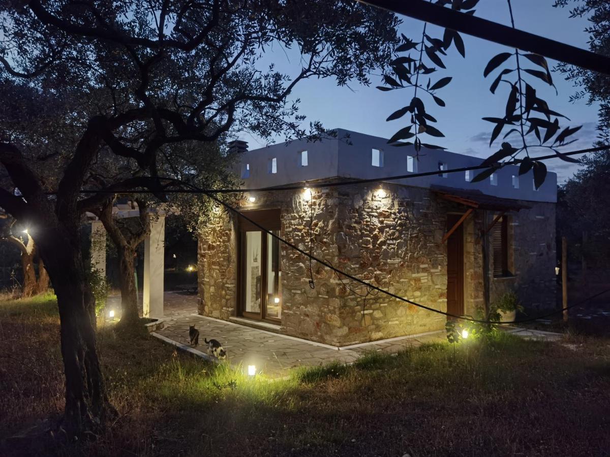 Elea Stone Houses In Organic Quiet Olive Grove, Prinos, Thassos Ngoại thất bức ảnh