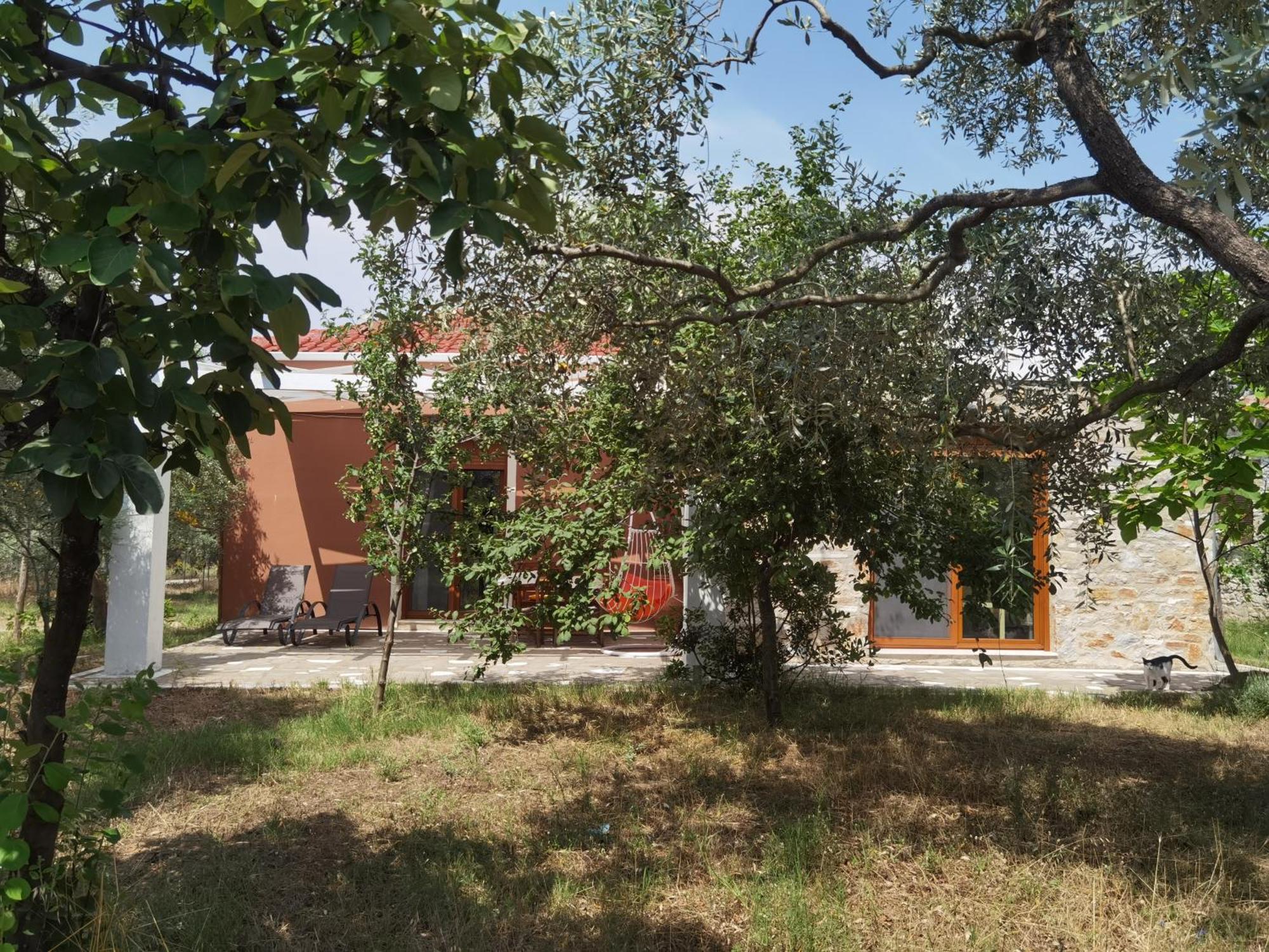 Elea Stone Houses In Organic Quiet Olive Grove, Prinos, Thassos Phòng bức ảnh